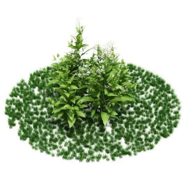 plant 3D Model - دانلود مدل سه بعدی گیاه - آبجکت سه بعدی گیاه - دانلود آبجکت سه بعدی گیاه - دانلود مدل سه بعدی fbx - دانلود مدل سه بعدی obj -plant 3d model free download  - plant 3d Object - plant OBJ 3d models - plant FBX 3d Models - بوته - bush